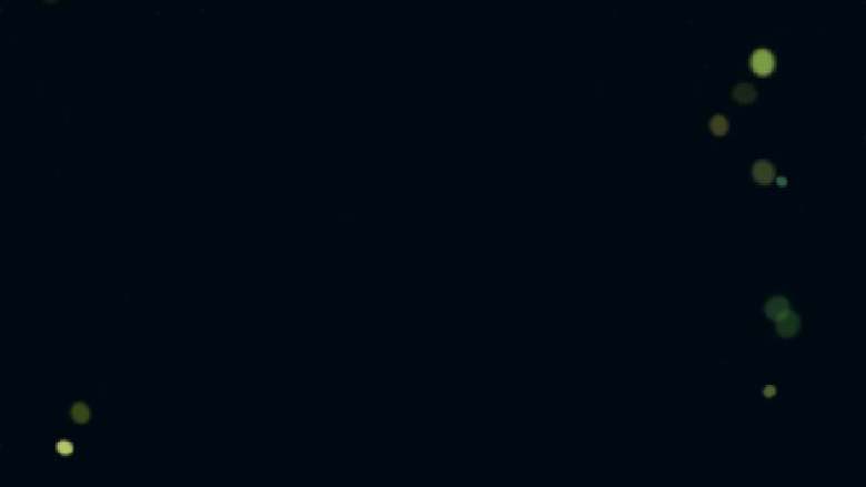 冰块儿葡萄，超级好吃！,冰冻一个晚上😪