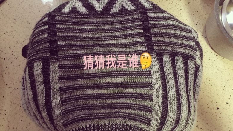 米酒👉🏼酒糟,嗯哼最后一步了👏🏼穿衣服。就算现在天气热乎但糯米大哥要求给他先来两层衣服。是不是已经看不出原形了呀。好啦!静候佳音,两天后见~