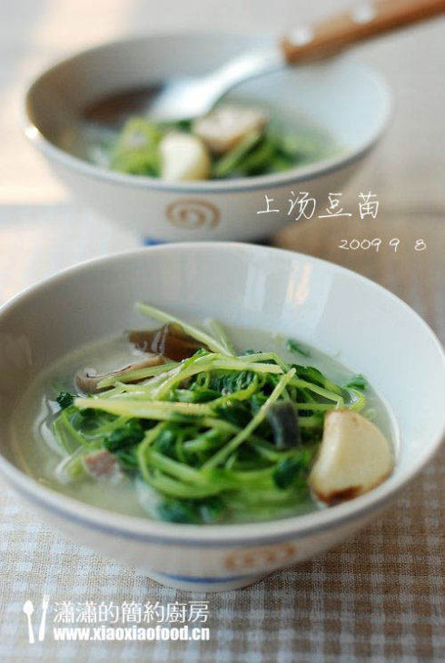 上汤豆苗 