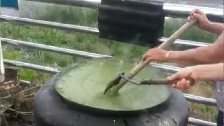 凉凉香草糕(民间野草糕),土法制糕。此糕是我朋友送给我的。