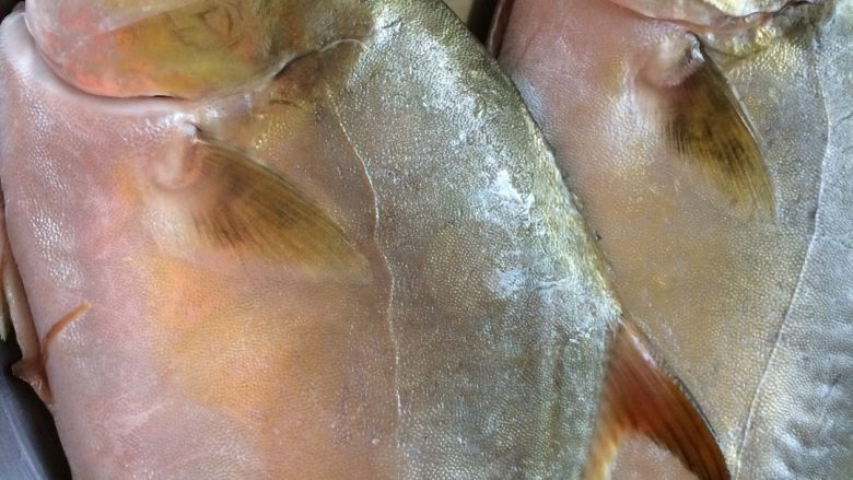 红烧䲝鱼,把䲝鱼洗净沥干水份