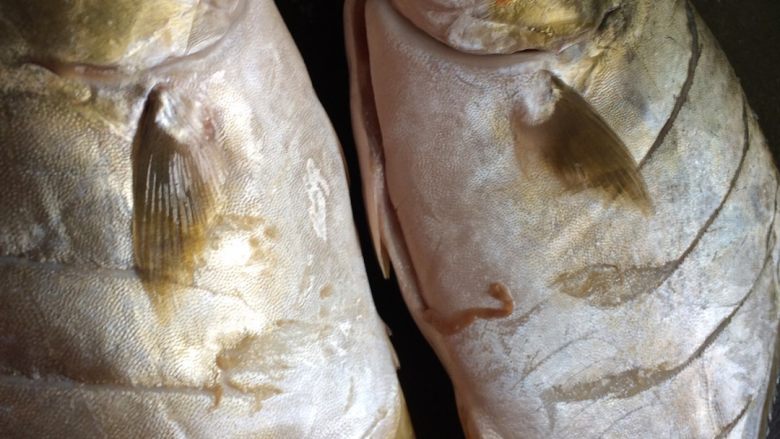 红烧䲝鱼,两面都切好了（这样煮时容易熟，肉又有味道）