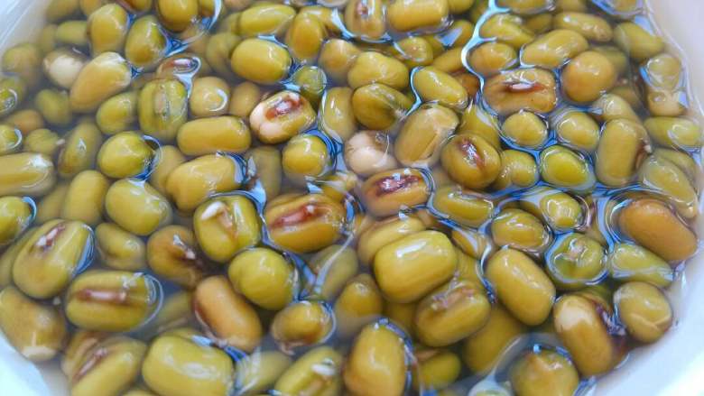 自发豆芽,<a style='color:red;display:inline-block;' href='/shicai/ 453'>绿豆</a>加过面水浸泡几个钟