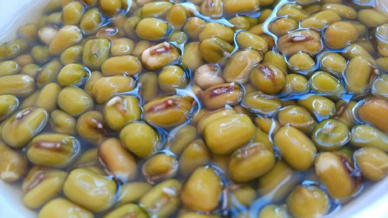 自发豆芽,泡到有点冒芽即可