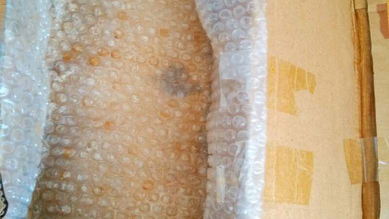 自发豆芽,鞋盒用泡沫胶纸垫上，光滑面朝下，用透明胶把四周都粘好，不要弄破底哦