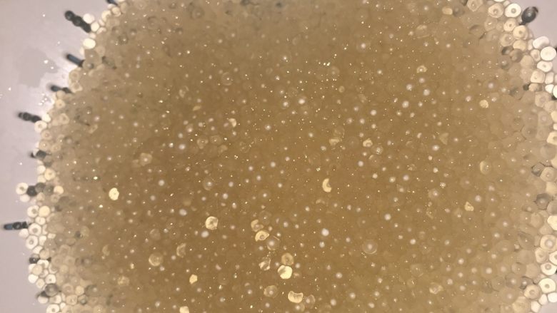 这个夏天你不得不爱的杨枝甘露,煮好后冷水冲洗,洗掉多余米汤胶质。放冰箱冷藏