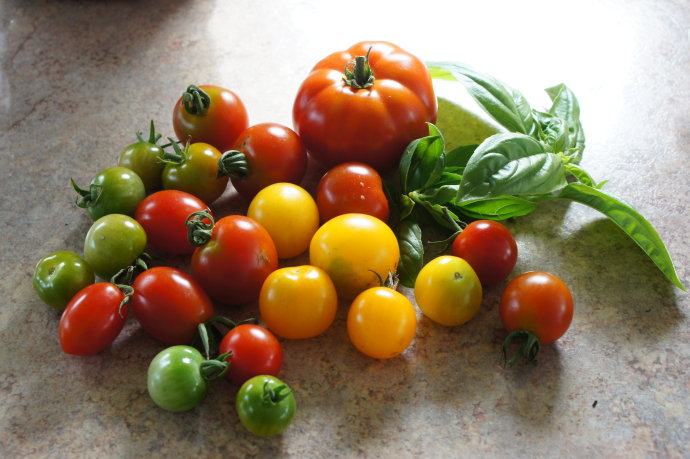 番茄沙拉——Mixed Tomato salad ,将番茄和新鲜食材清洗干净,番茄切半或切片