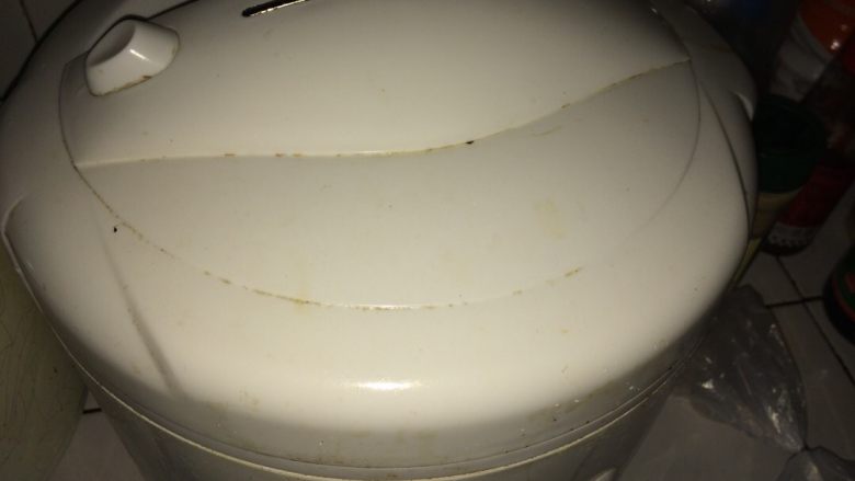 天麻蒸猪脑,水开后蒸一个小时,这样天麻就出味了,打开,放入杞子,蒸五分钟就可以了
