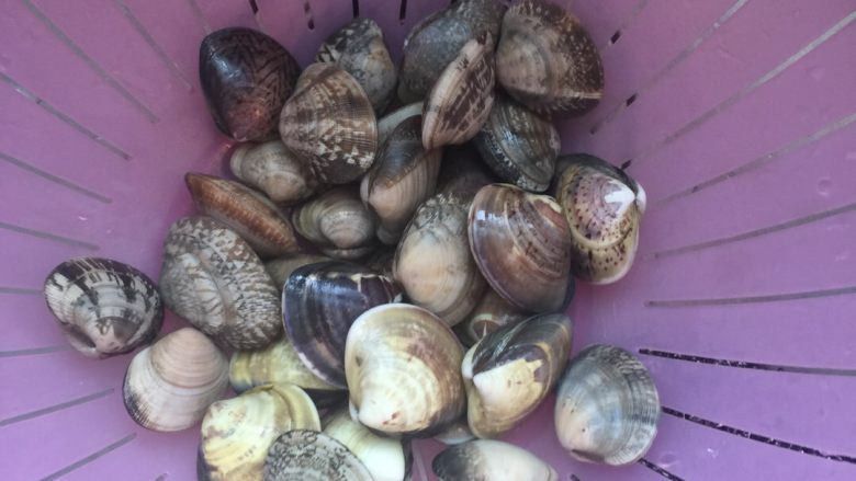 洋葱炒花蛤,<a style='color:red;display:inline-block;' href='/shicai/ 1816'>花蛤</a>洗净