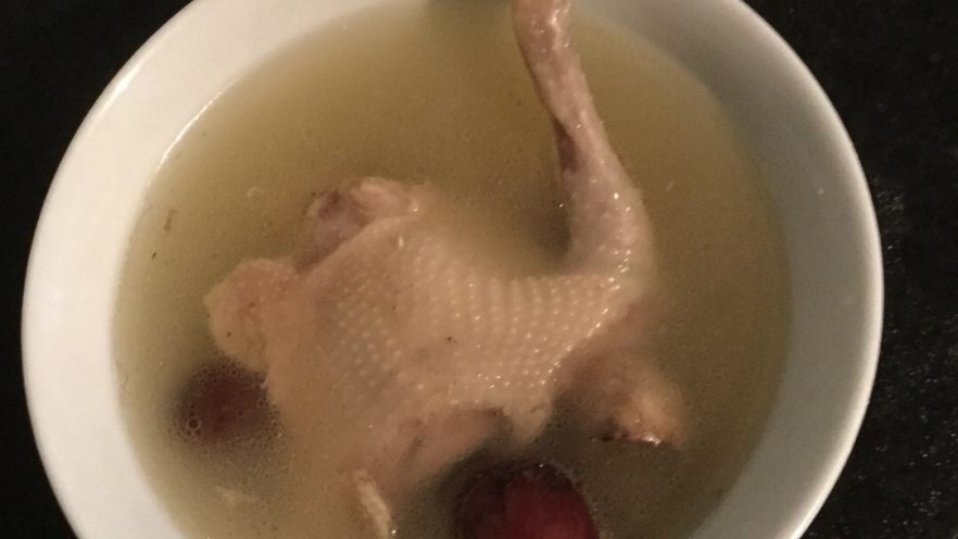 鸽子汤