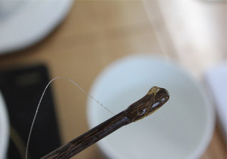 锦绣中华绣球塔,糖浆变硬,就是熬好了。