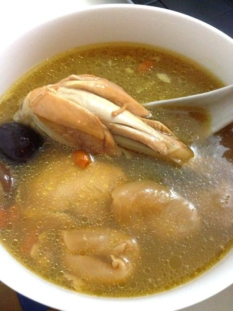 花胶鸡汤