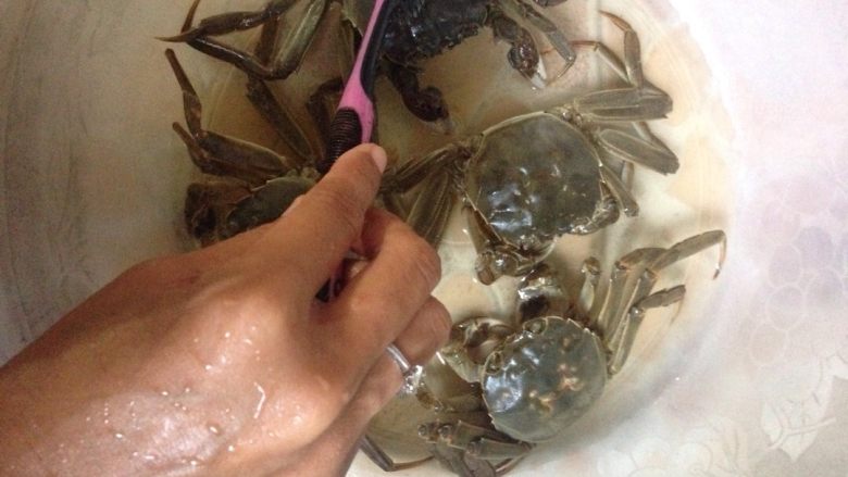 清蒸大闸蟹,挑选吐泡泡、肉质结实的灵活大闸蟹,用牙刷刷洗干净