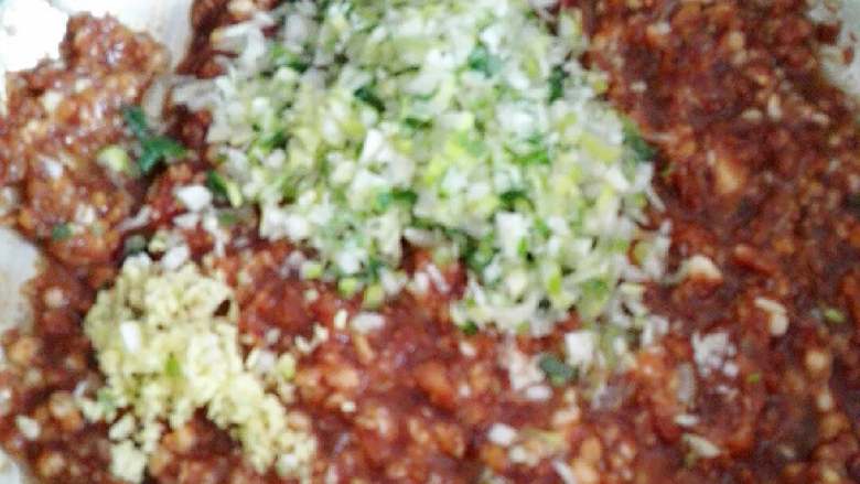 猪肉茴香饺子,<a style='color:red;display:inline-block;' href='/shicai/ 414'>猪肉</a>馅放油，蚝油，东古酱油，少许面酱，少许白糖用力调好，后放葱姜末。