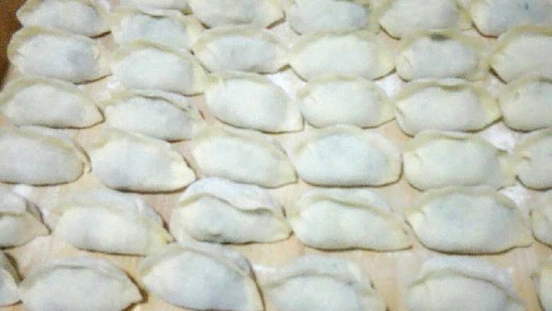 猪肉茴香饺子,饺子包好了