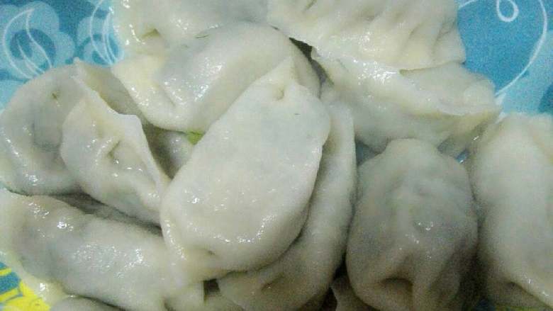 猪肉茴香饺子,熟了