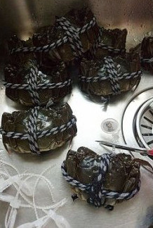 金秋最迷人的那道菜:清蒸大闸蟹,将蟹身上带着的塑料防伪码全部剪掉。