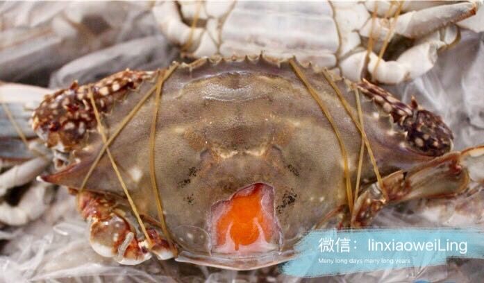 韩式酱蟹,活蟹速冻5小时以上