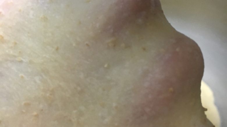 全麦淡奶软吐司,因为添加了全麦粉,揉不出手套膜的,差不多有这样的状态也就可以了