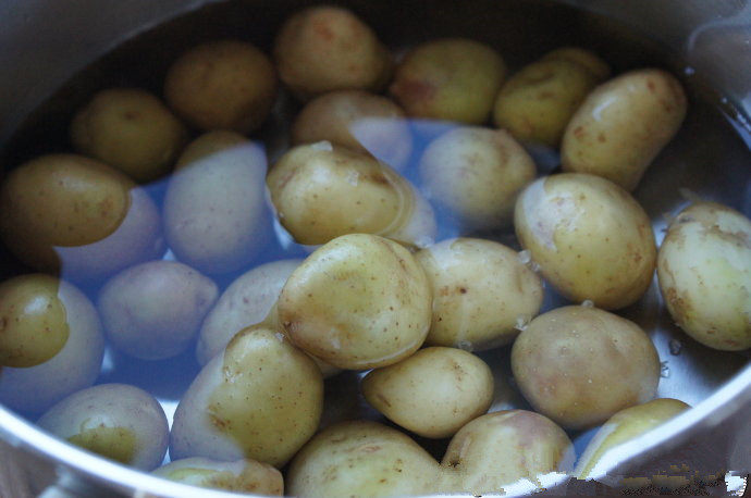 培根迷迭香小土豆,小土豆擦洗干净，放入锅中，加足够的水和一茶匙盐，烧开，转小火煮熟，滤干水分。