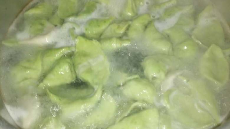 蔬菜饺子,锅内放适当水，水开下饺子，用勺子推一下，这样饺子不会粘锅底
