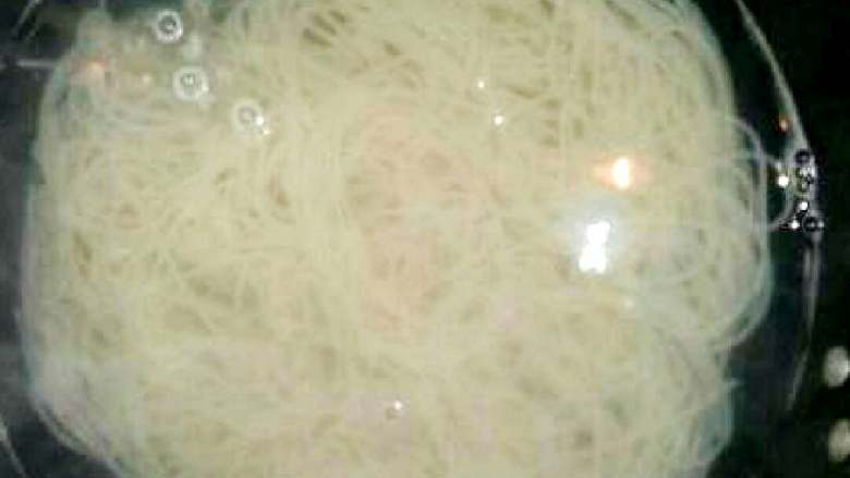 活索粉(家乡美食)#面条变身计划#,转小火慢慢煮至粉干可以掐的断,关火待在锅里5-6分钟捞出沥干水分。