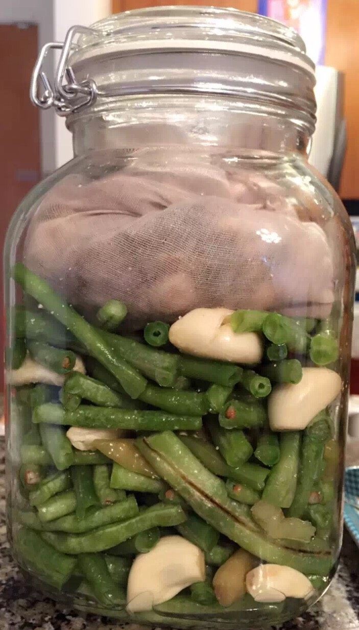 自制酸豆角,豆角洗净，切短(懒就打结)抹干水份