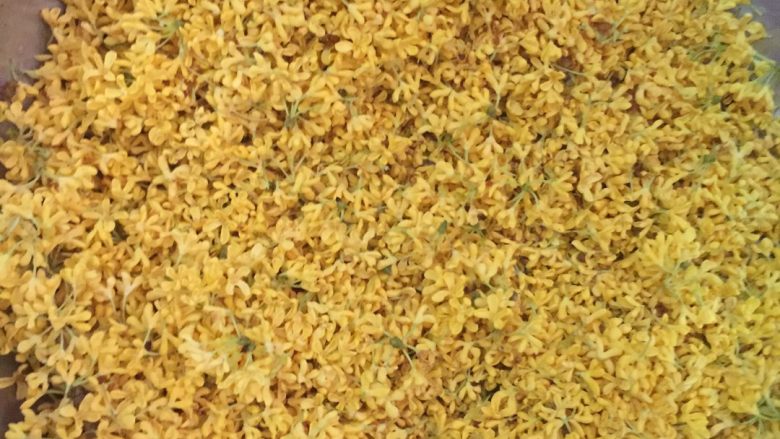自制糖桂花,摘完以后用清水净泡 大约十分钟(要轻轻的) 加入食盐 把杂志过滤掉