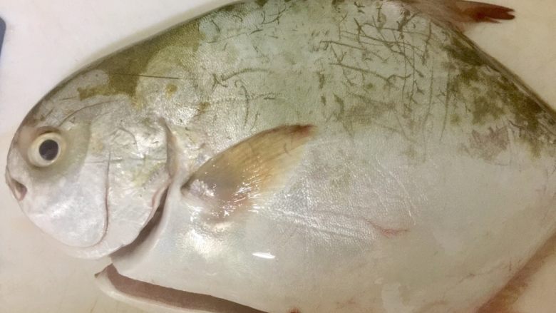 柠檬酱蒸白鲳,先把鱼劏好,去掉内脏,洗干净