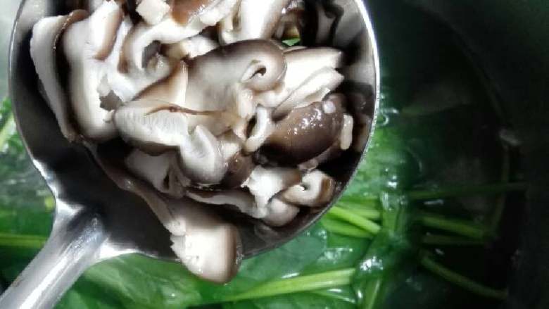 “韩国石锅拌饭”绅士私房菜,菠菜,香菇分别用热水过一遍。