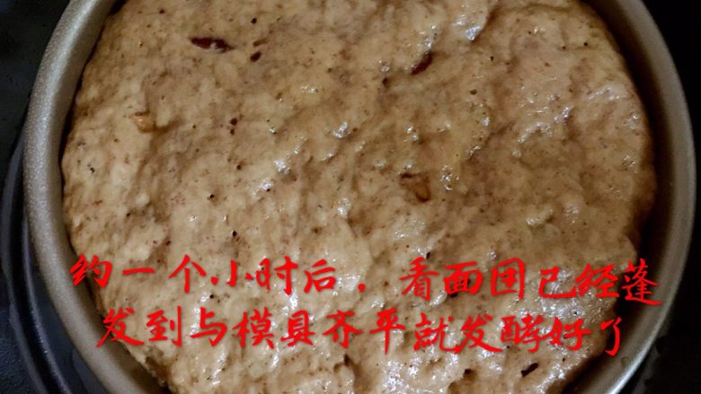 红糖红枣发糕,约一个小时后,看面团已经蓬发到与模具齐平就发酵好了