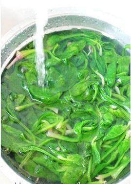 蛋皮菠菜#挑战鸡蛋的100种做法#,然后迅速的在冷水下冲凉~~~~~ 给菠菜焯水既去涩味又去草酸。