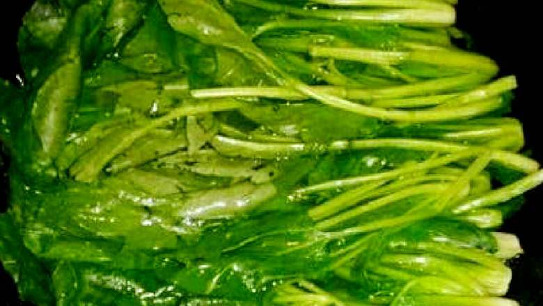 菠菜鸡蛋卷+#挑战鸡蛋的100种做法#,锅里放水烧开加点盐,菠菜下锅焯水,捞起沥干水分。