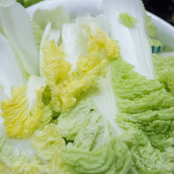 金钩白菜#春意绿#,<a style='color:red;display:inline-block;' href='/shicai/ 113'>大白菜</a>洗净切长条。