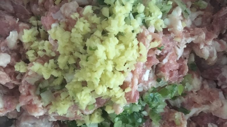 萝卜肉饺子,肉馅儿依次放入葱,姜,盐,<a style='color:red;display:inline-block;' href='/shicai/ 692'>酱油</a>,高汤。用手拌匀。分三到四次放完辅料!这是秘诀这样的馅儿更入味,更香。