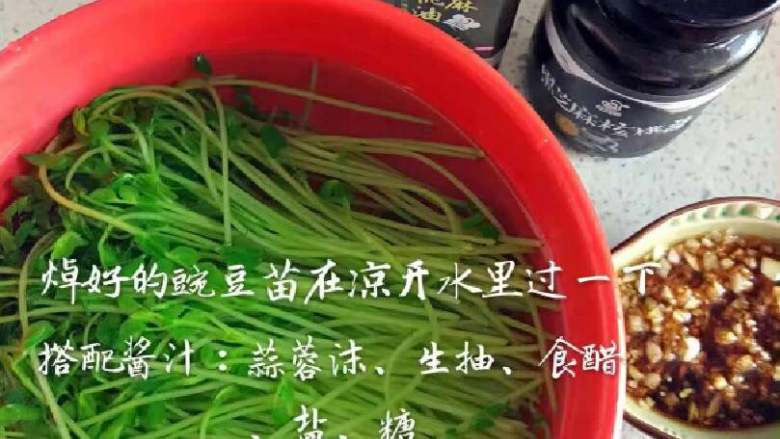 《双兔豌豆苗》凉拌小菜,焯好的豌豆苗在凉开水里过一下
搭配酱汁:蒜蓉沫,生抽,食醋,盐,糖
