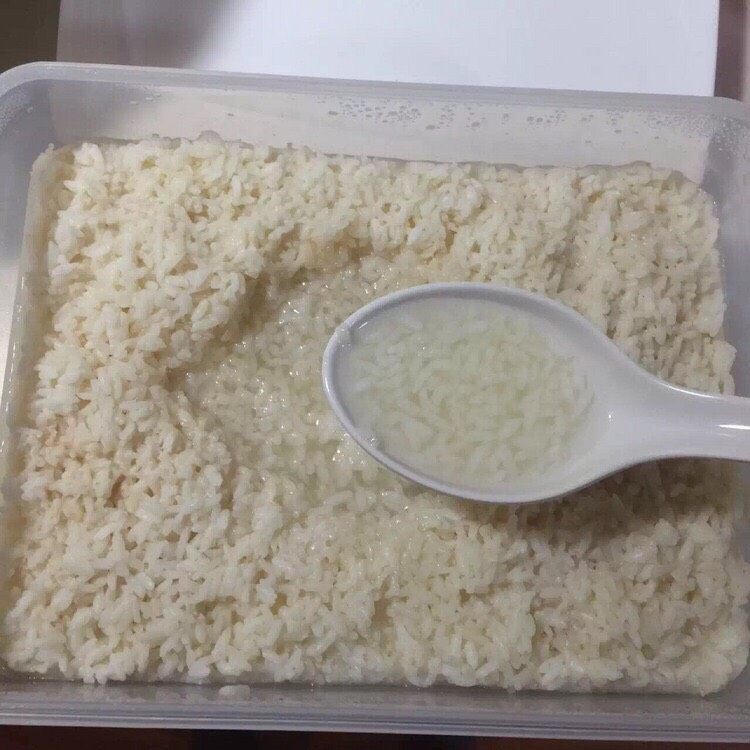 甜酒酿--家庭简单版,这个是4天,就出酒了,我这边气候比较温和!