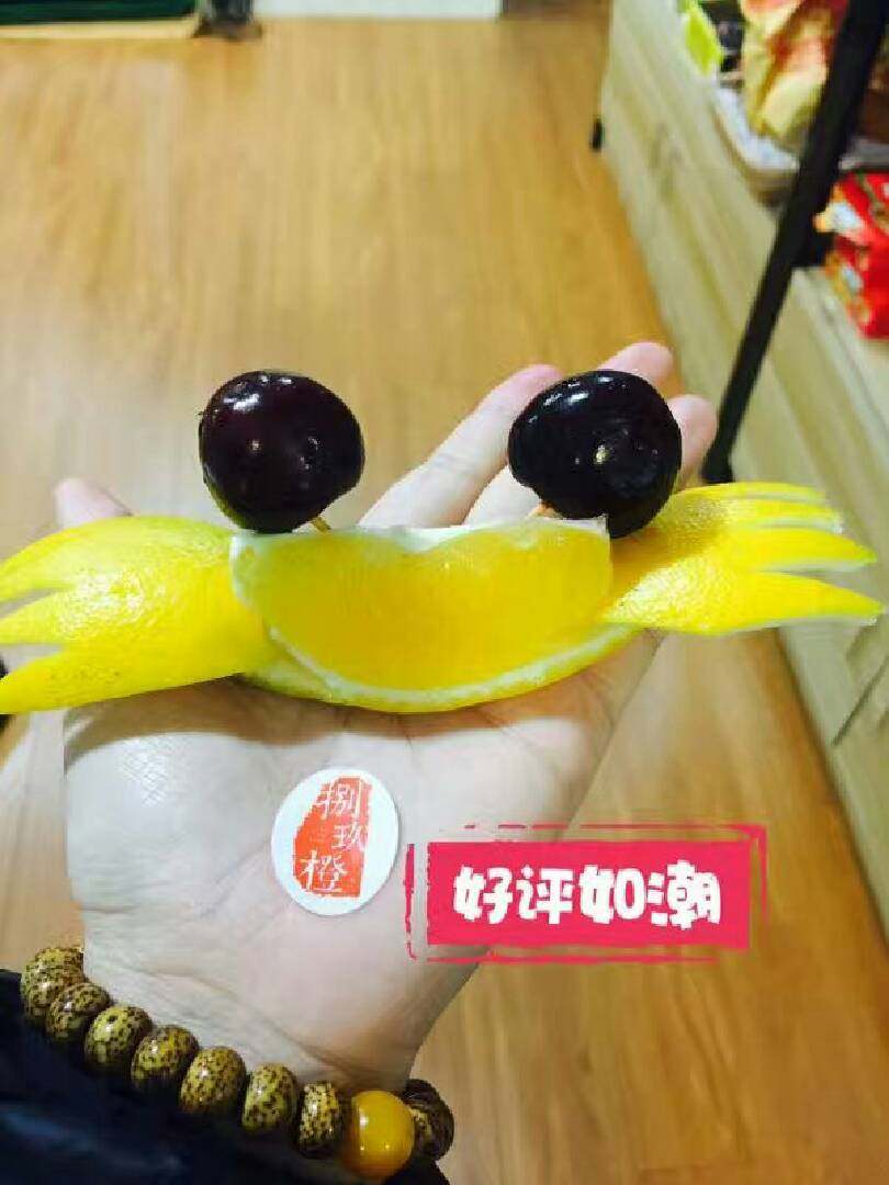 橙子🍊螃蟹