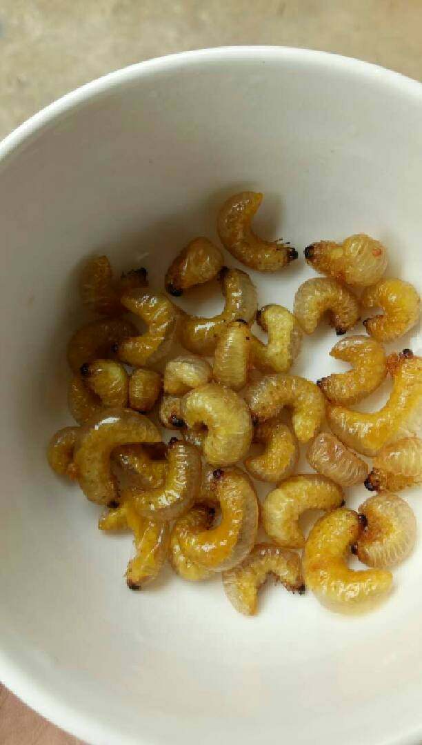 山里人的小故事,这就是成品了,味道和蚕蛹有点相似,但为有蚕蛹的那种虫味。😁😁😁。