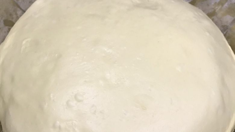 梦幻芝士软欧,基础醒发20分钟，温度28摄氏度，湿度80%，