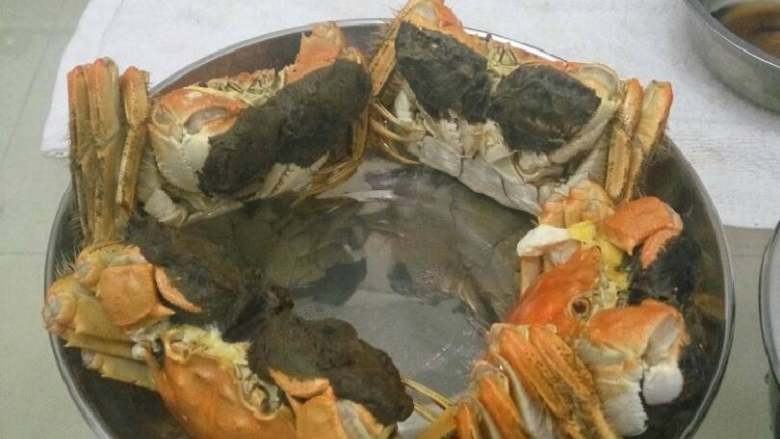 清蒸大闸蟹