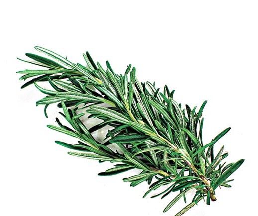 紅酒燉牛尾,<a style='color:red;display:inline-block;' href='/shicai/ 832'>迷迭香</a>。（如果沒有新鮮的，也可以用乾燥的取代）