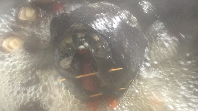 乌鸡汤,加入各种剩余的材料把鸡放进去,水开以后小火慢炖
