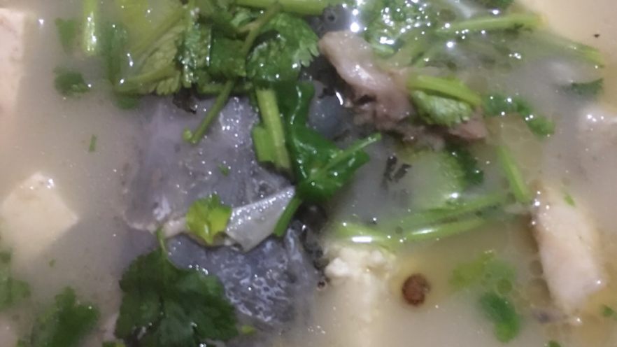鱼头豆腐汤