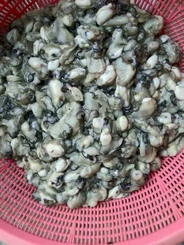 紫菜海蛎羹,<a style='color:red;display:inline-block;' href='/shicai/ 10077'>海蛎</a>洗净沥干水，放入地瓜粉和匀