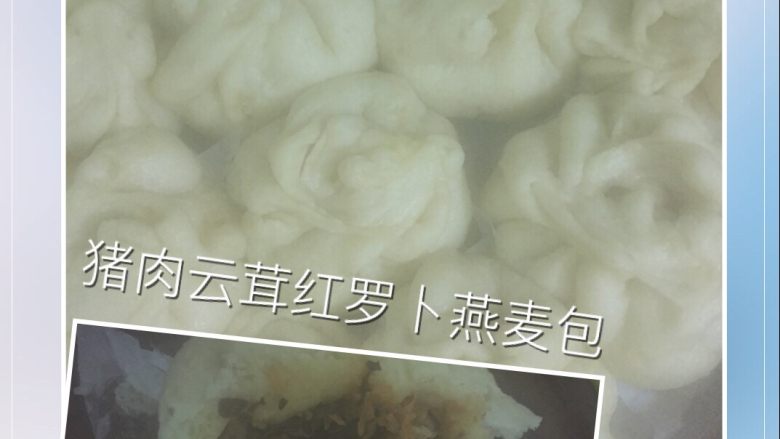 猪肉云茸红罗卜燕麦包,一口气吃了三个