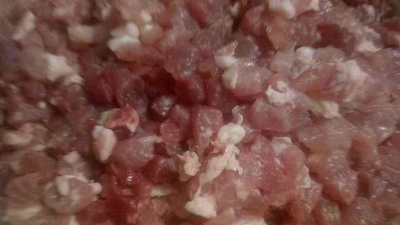 朵儿妈自制干肠16.12.28,切好后将所有的调料按着先干后湿的顺序放进去
