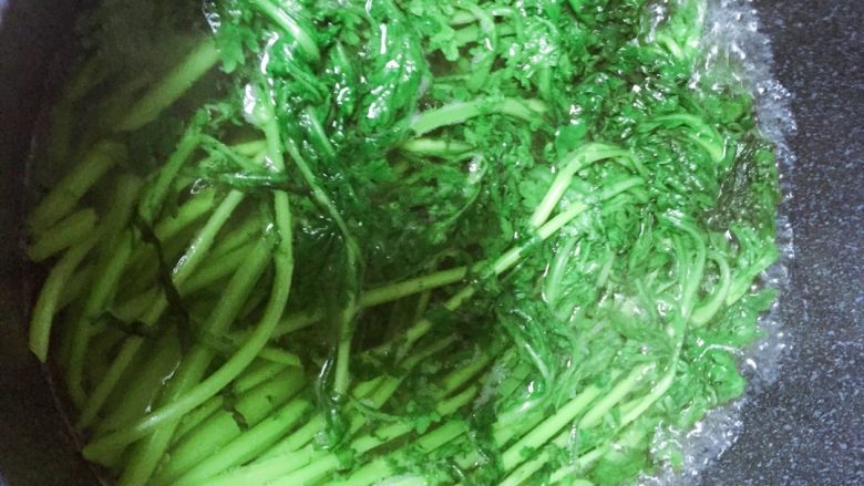 ※新手菜※酱茼蒿🌾,把茼蒿用水抄一遍煮开1分钟左右，在抄茼蒿的时候不要来回弄乱了一会就不好摆盘咯～为了美观就左右翻动就好😘💕