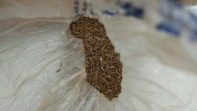 烤鸡翅,放入少量<a style='color:red;display:inline-block;' href='/shicai/ 146542'>孜然粉</a>