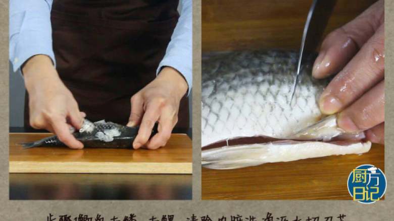 豆豉酱焖鲫鱼,<a style='color:red;display:inline-block;' href='/shicai/ 377'>鲫鱼</a>去鳞,去鳃,清楚内脏洗净沥水切刀花